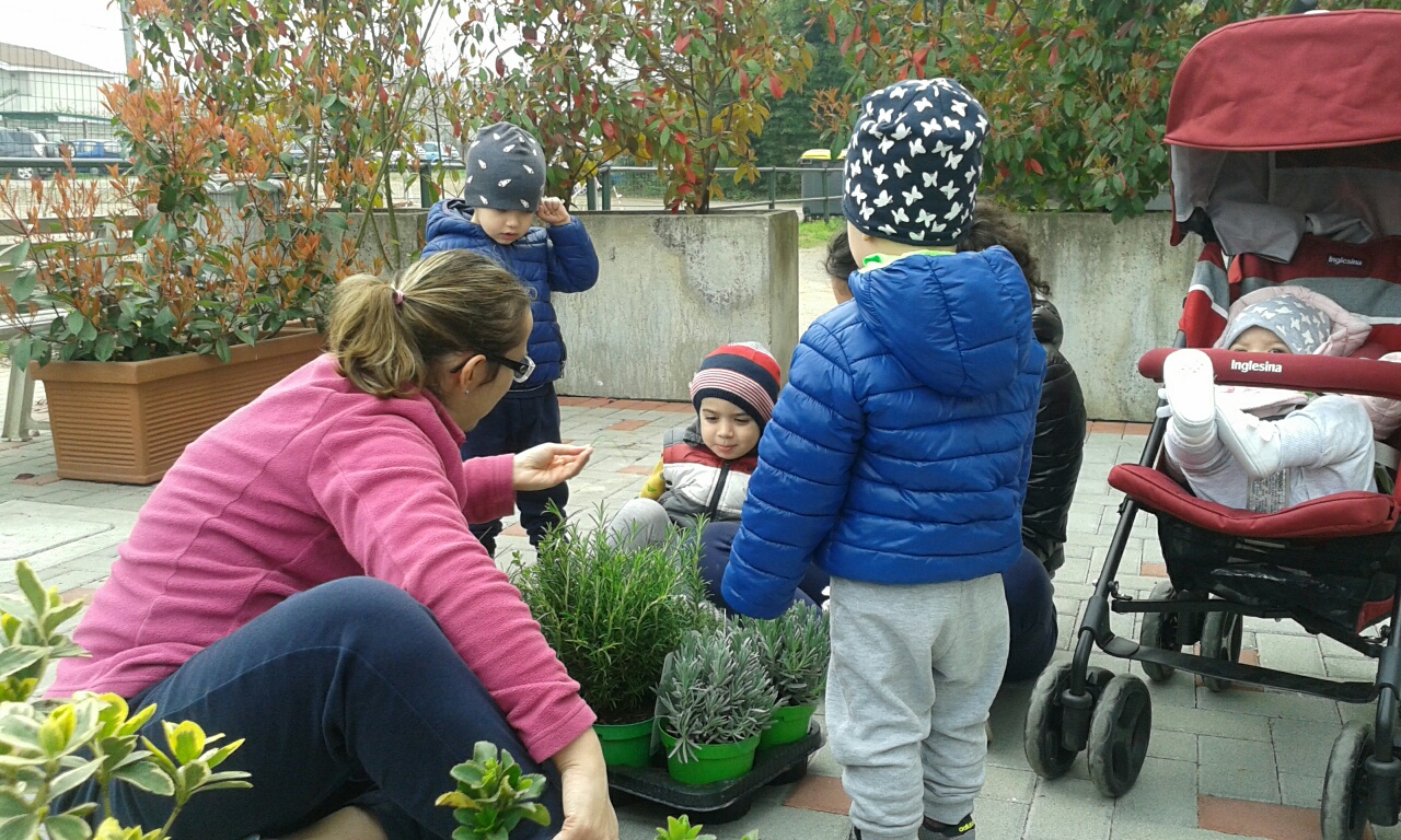 scuola don comelli vigevano_ nido il seme