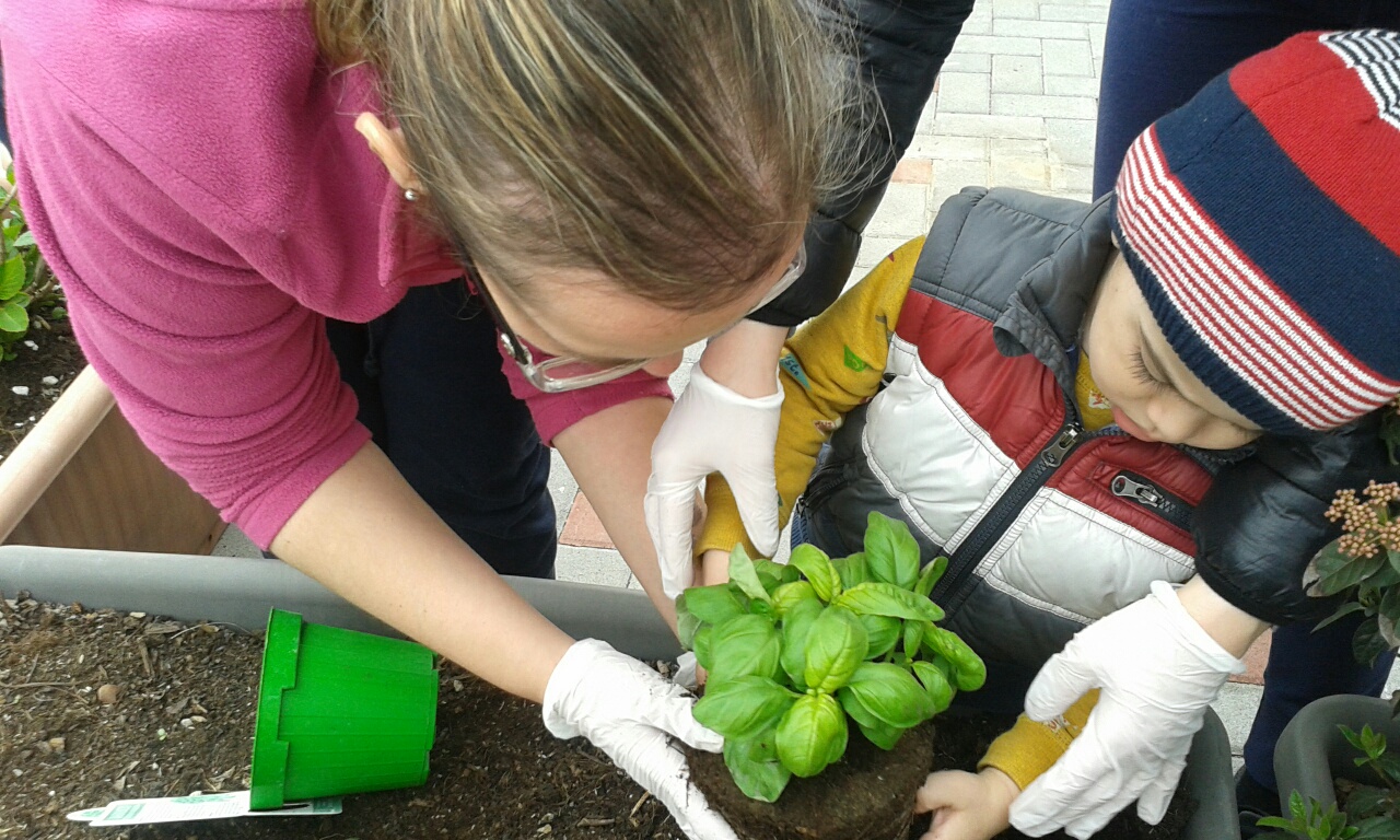 scuola don comelli vigevano_ nido il seme